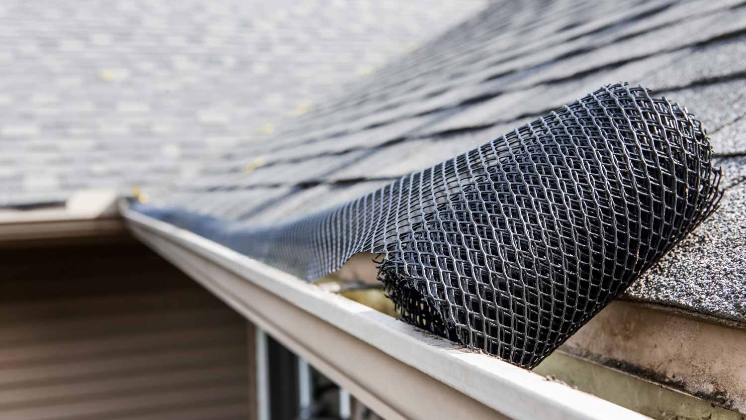 roll of mesh guard on roof