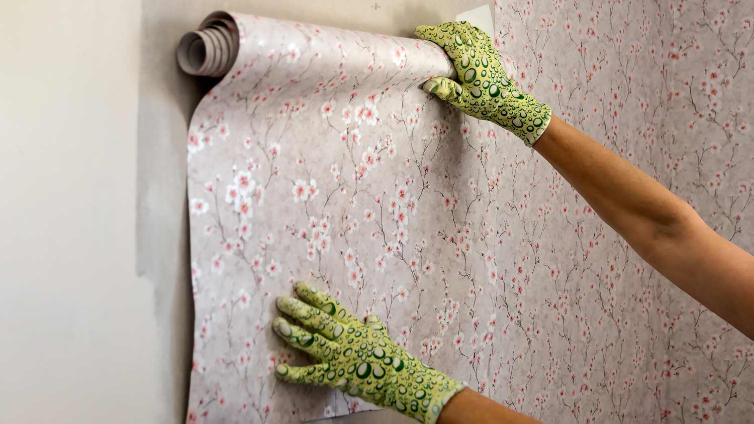 woman holding roll of wallpaper