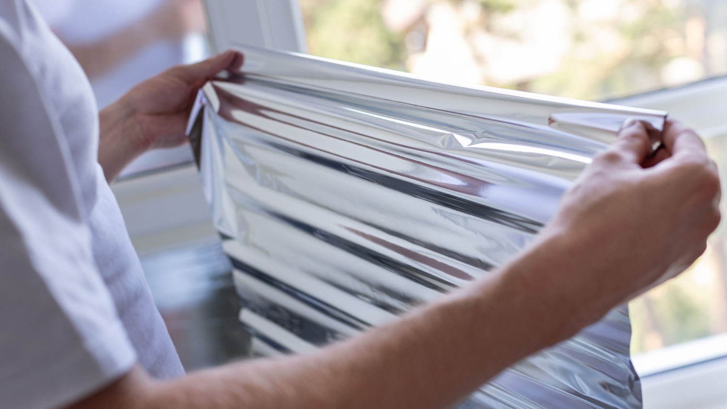 professional installing window film
