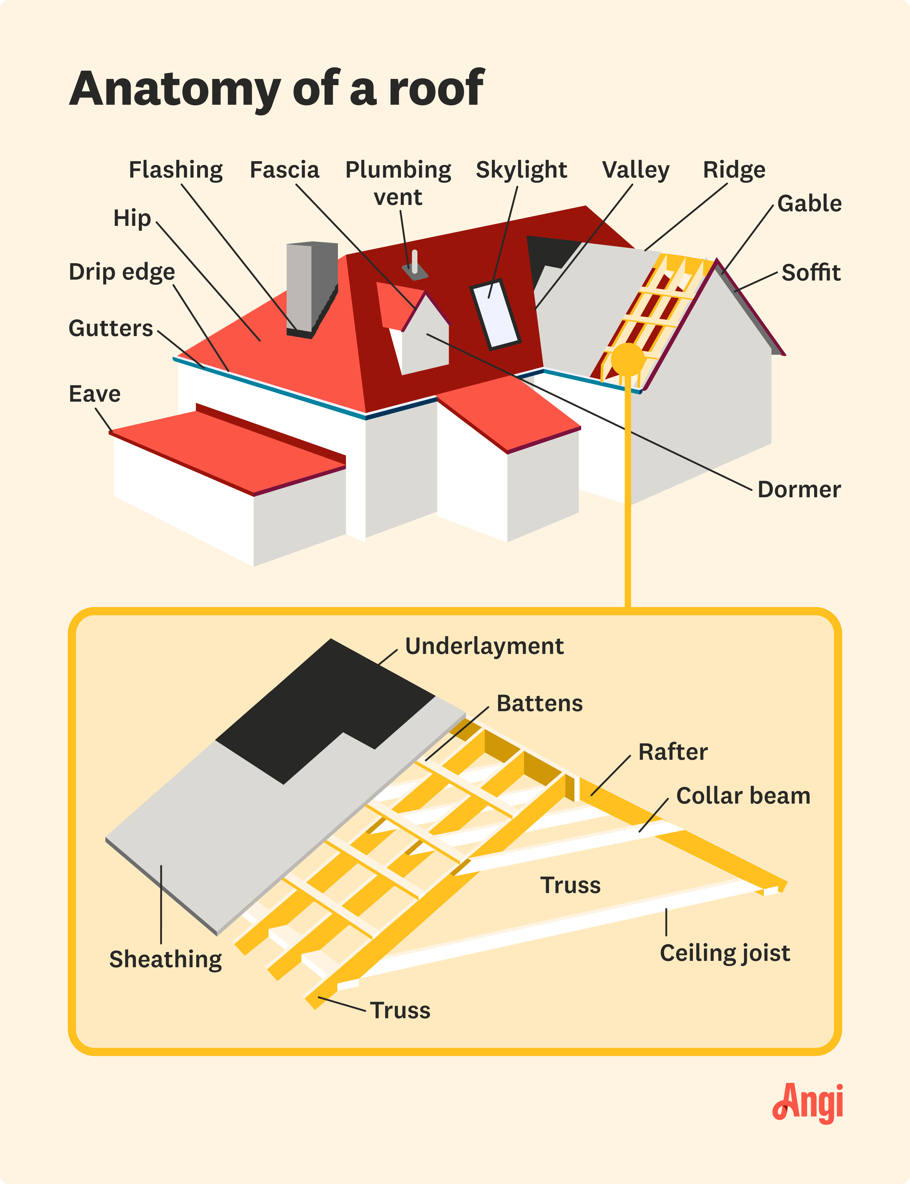 Roof anatomy illustrated, including both the exterior and interior