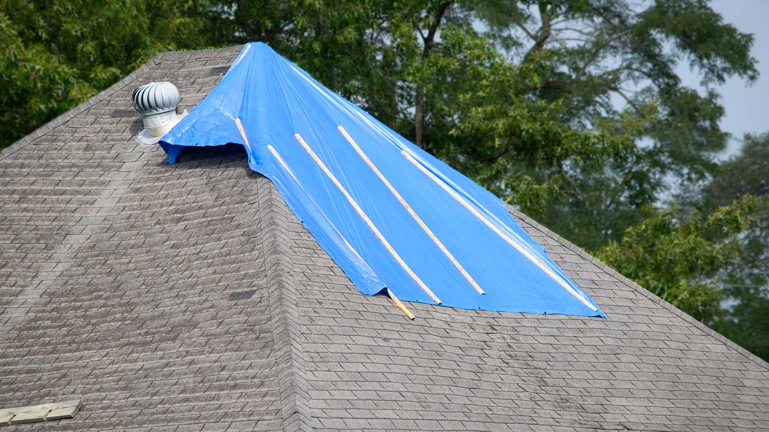 Section of a house roof covered with a blue tarp