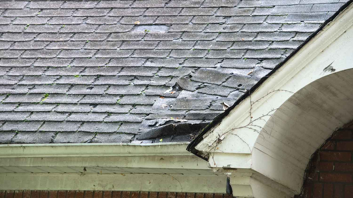 Wood rot issues on the roof of a house