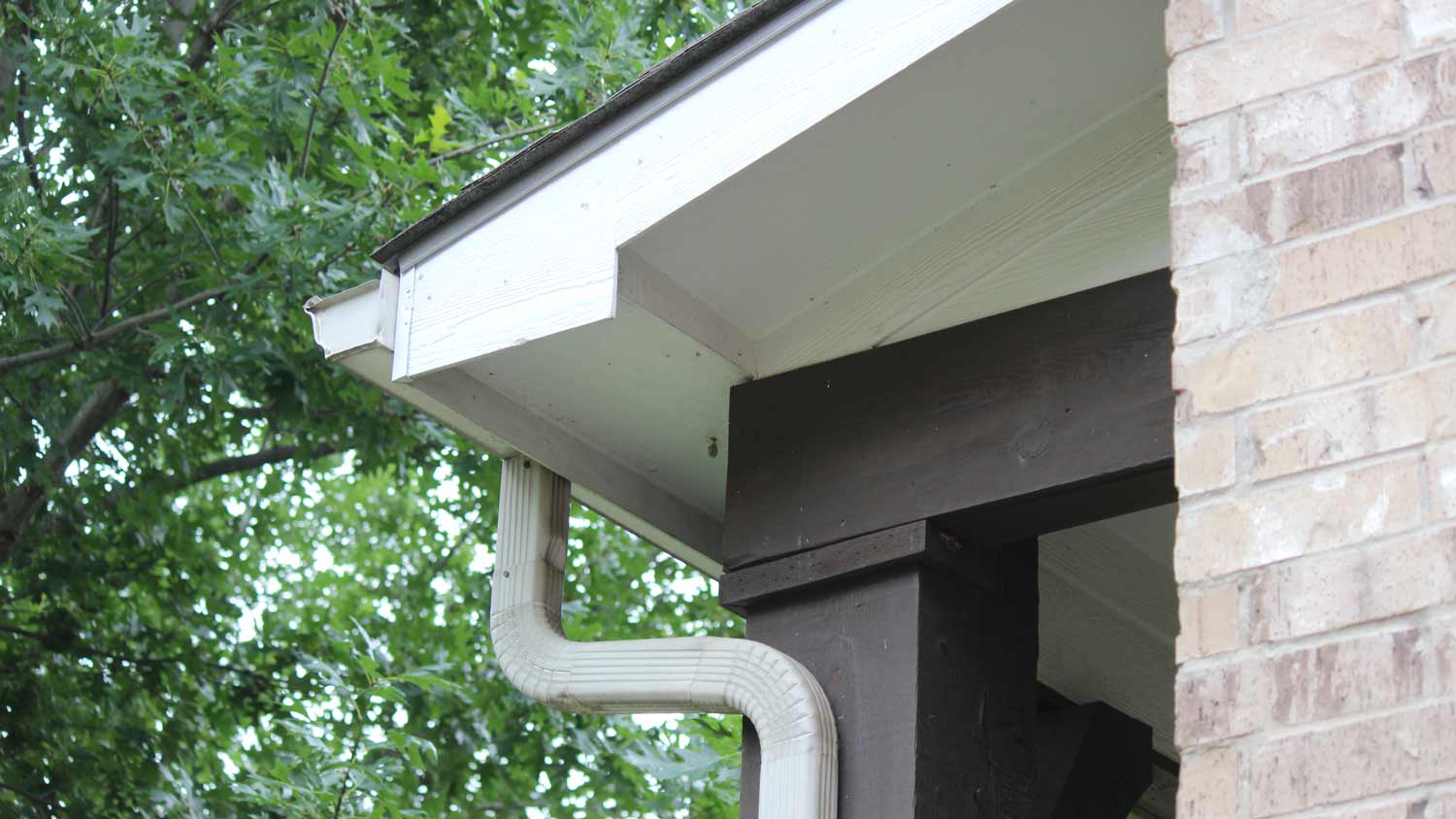 rain gutter and downspout drainage