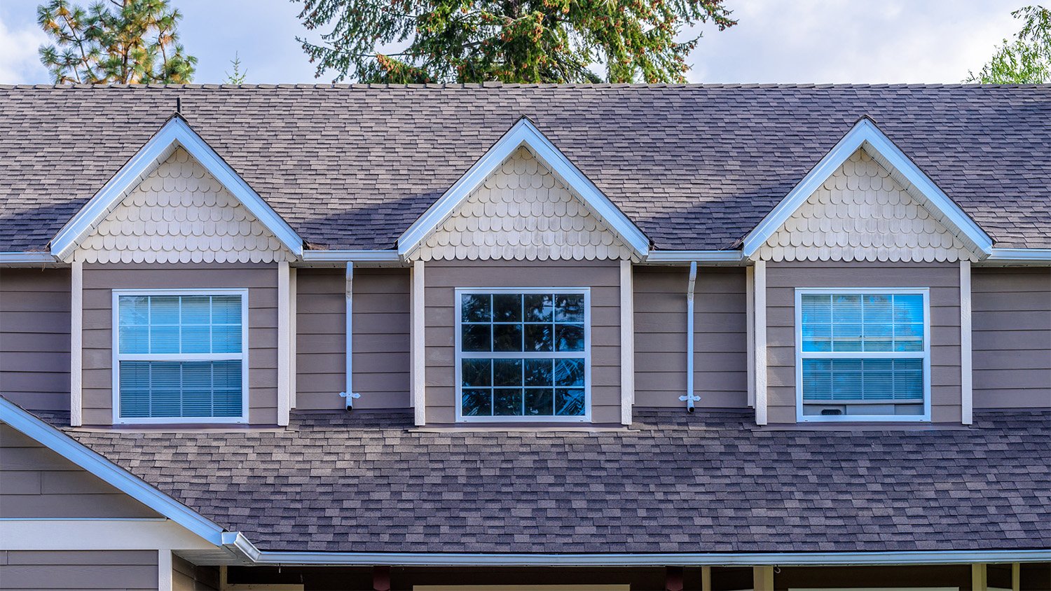 roof with shingle