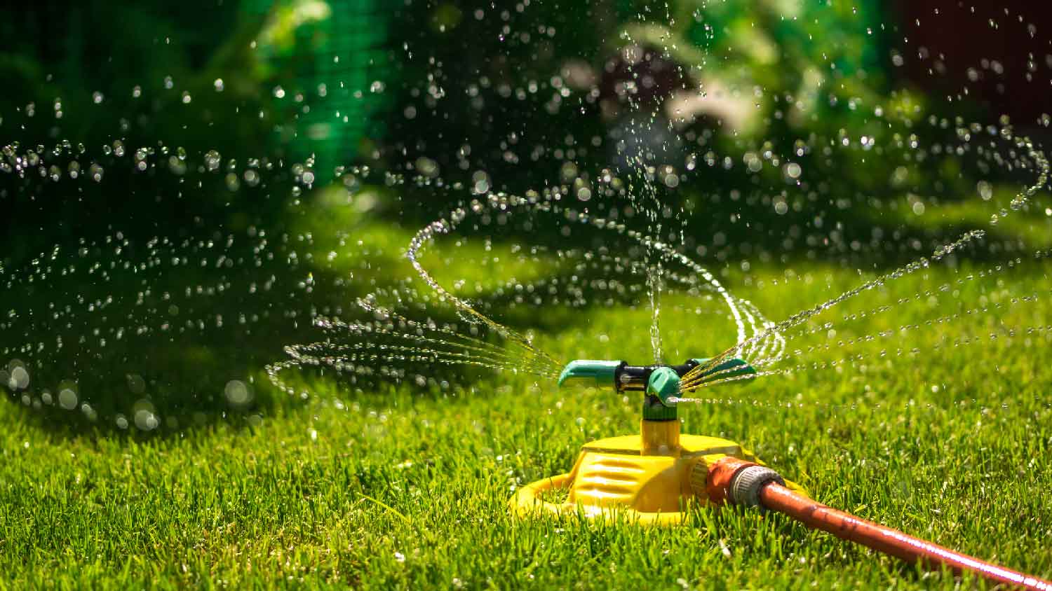 Rotary sprinklers