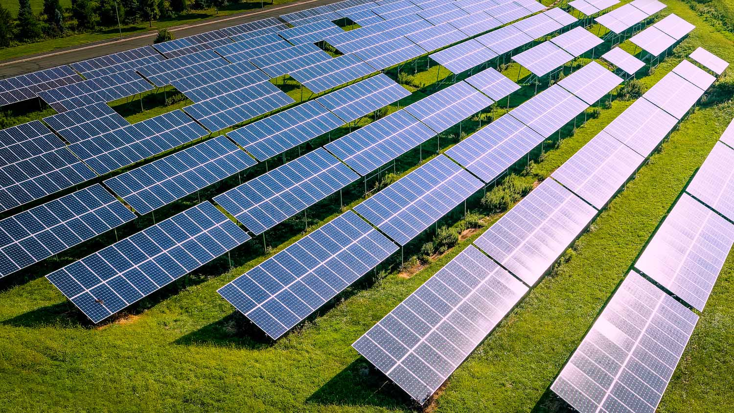 Rows of rural solar panels