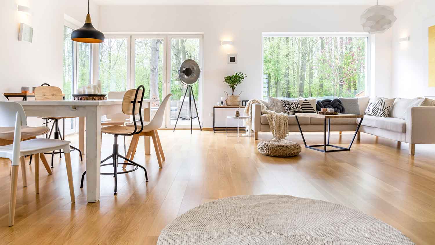 Scandinavian style living room with laminate flooring 