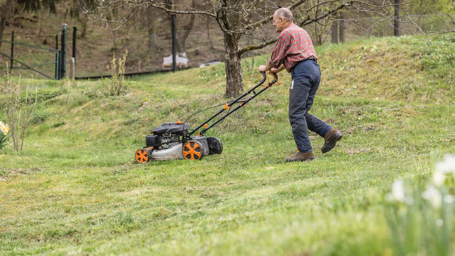 A senior man mowing the lawn in the winter