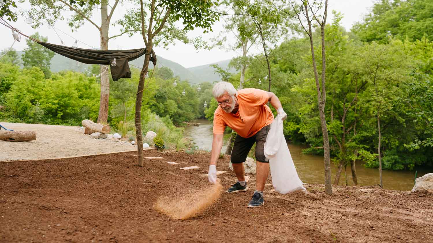 A senior man planting grass seeds in his yard
