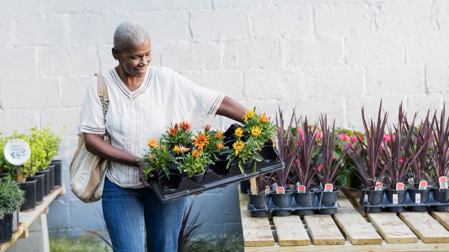 A senior woman picking up new plants