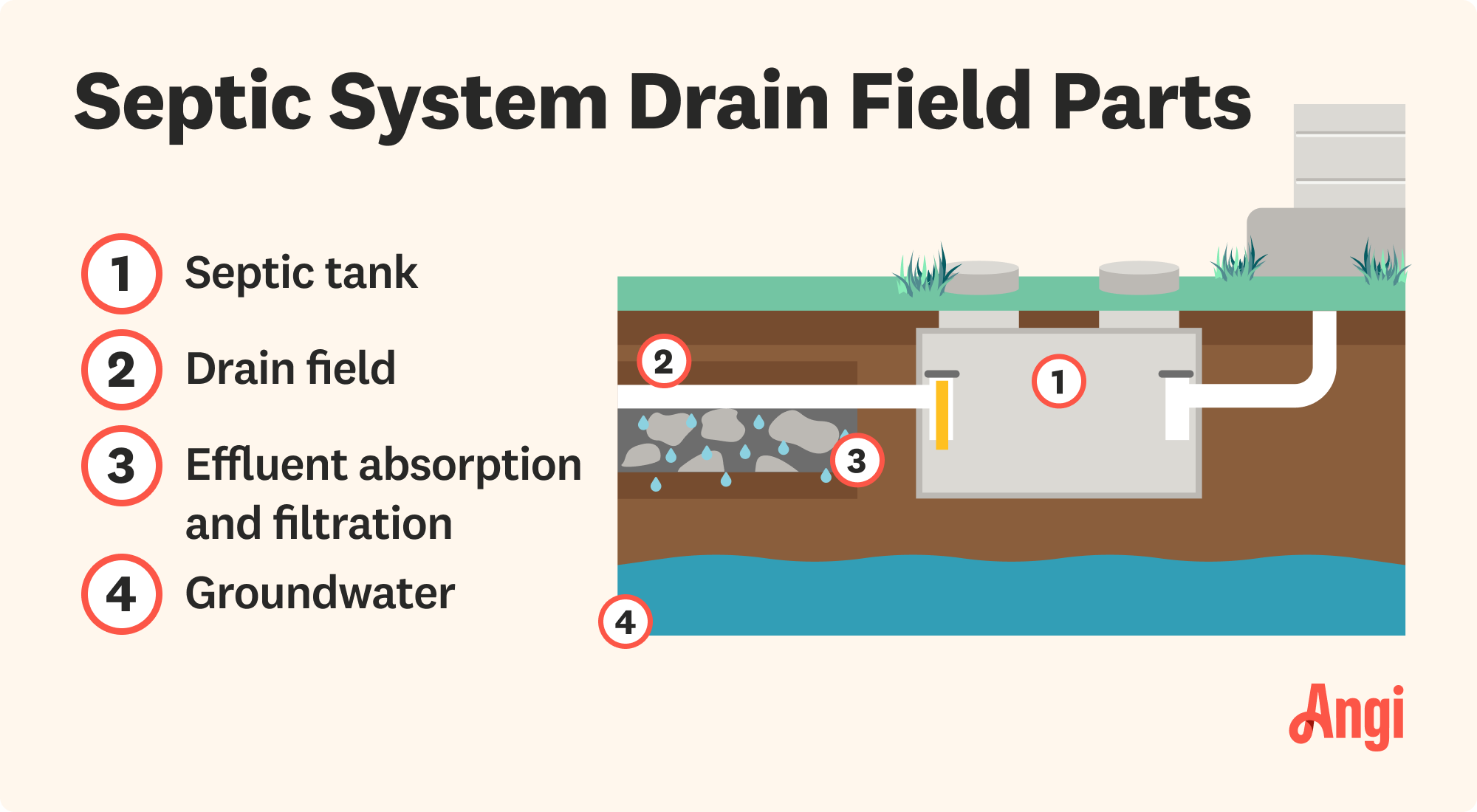 4 parts of a septic system drain field illustrated, including the septic tank, drain field, and groundwater