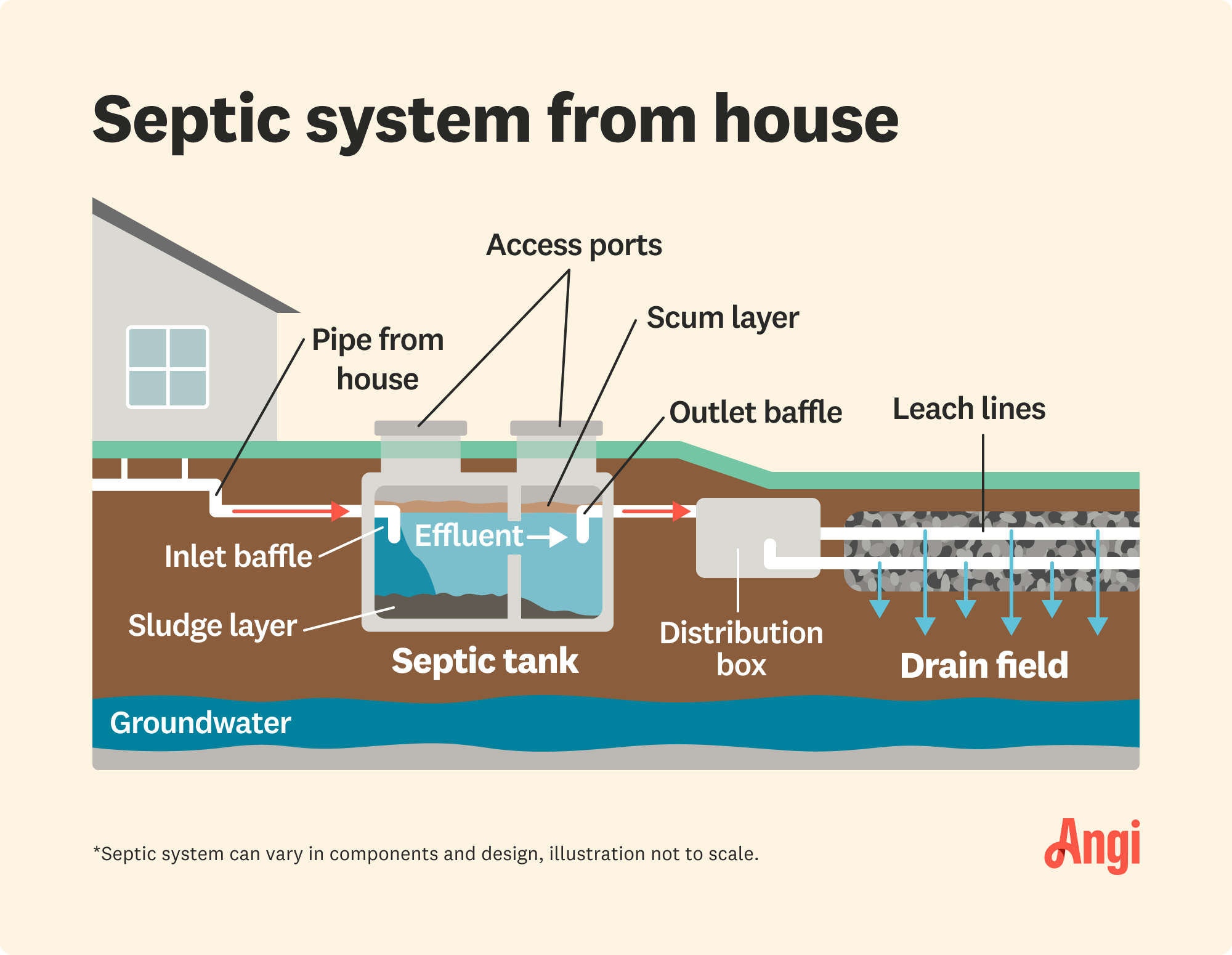 Septic system from house illustrated, with the effluent flowing from the septic tank to the leach lines