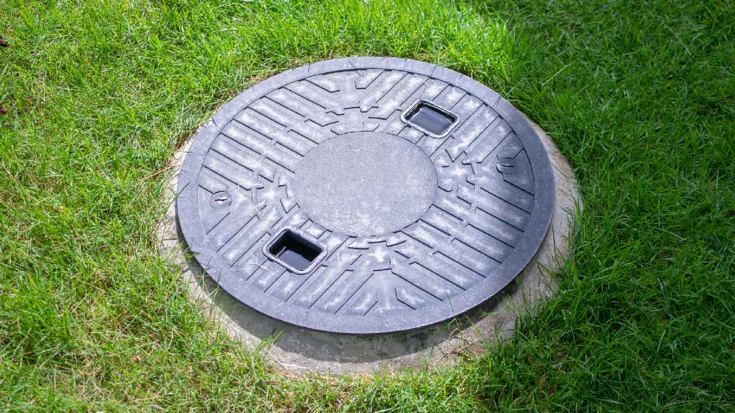 Septic system in the backyard