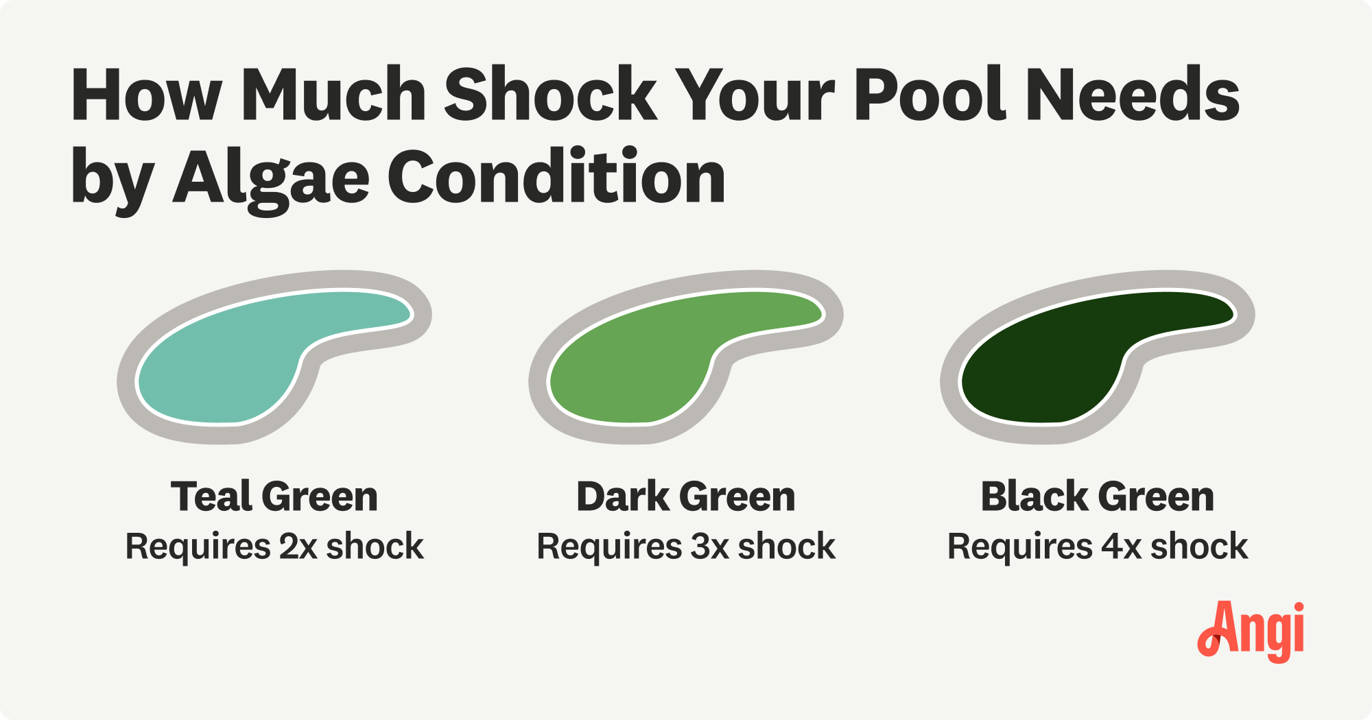 How much shock your pool needs by algae condition, with dark green algae needing 3x shock