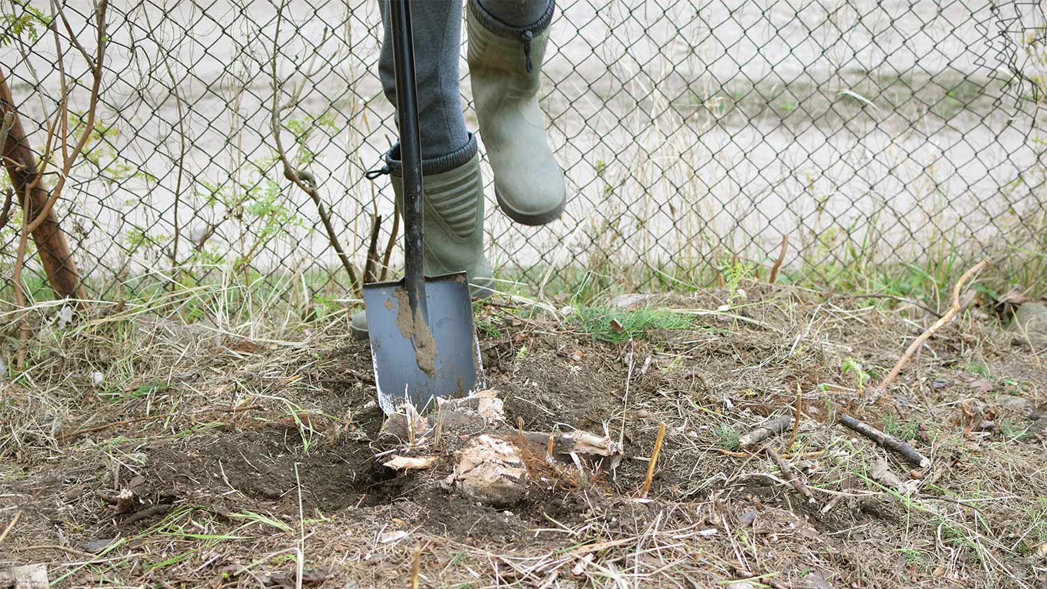 Men clearing landscaping in the yard.
