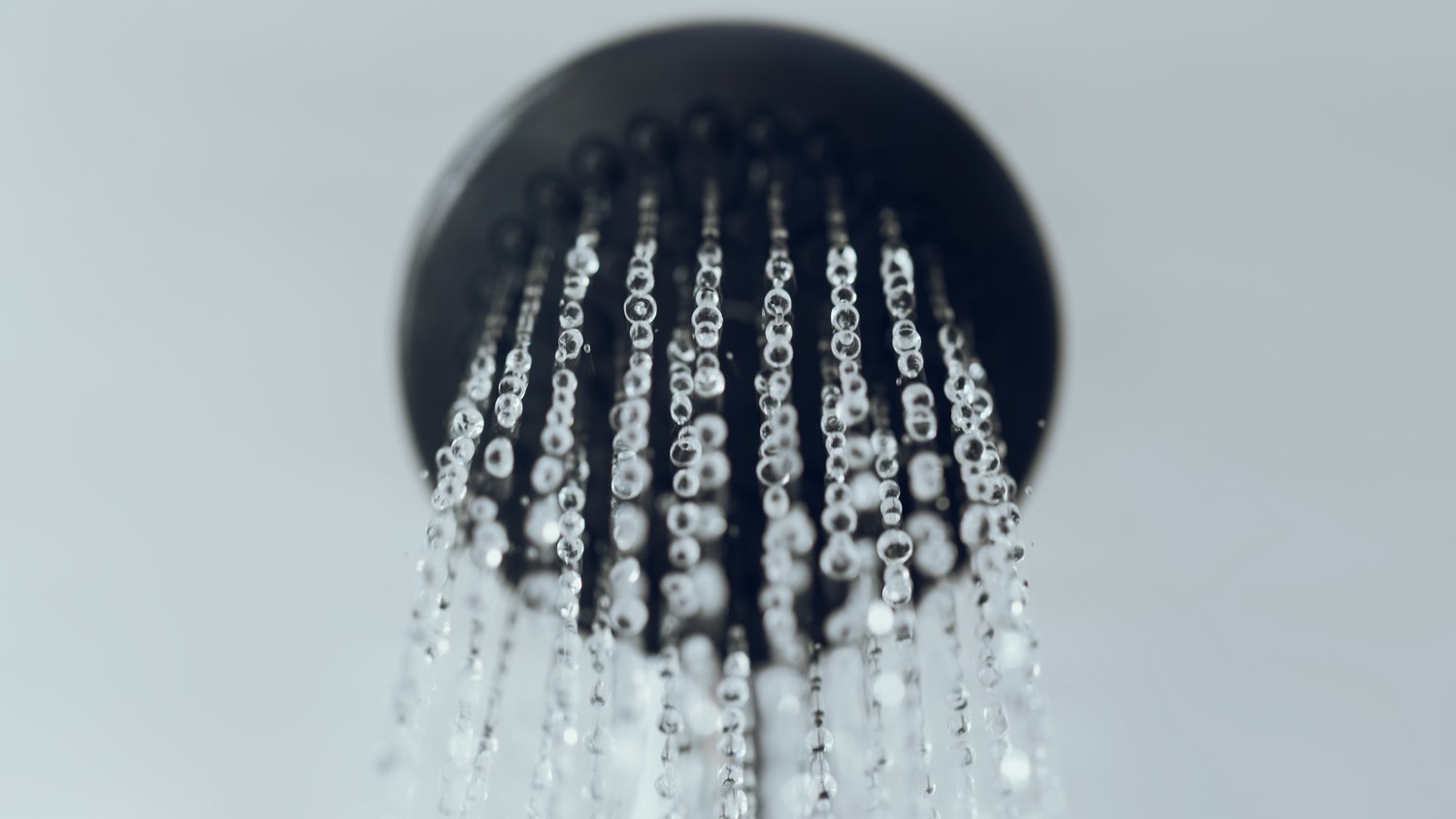 Close-up of a shower head dropping water