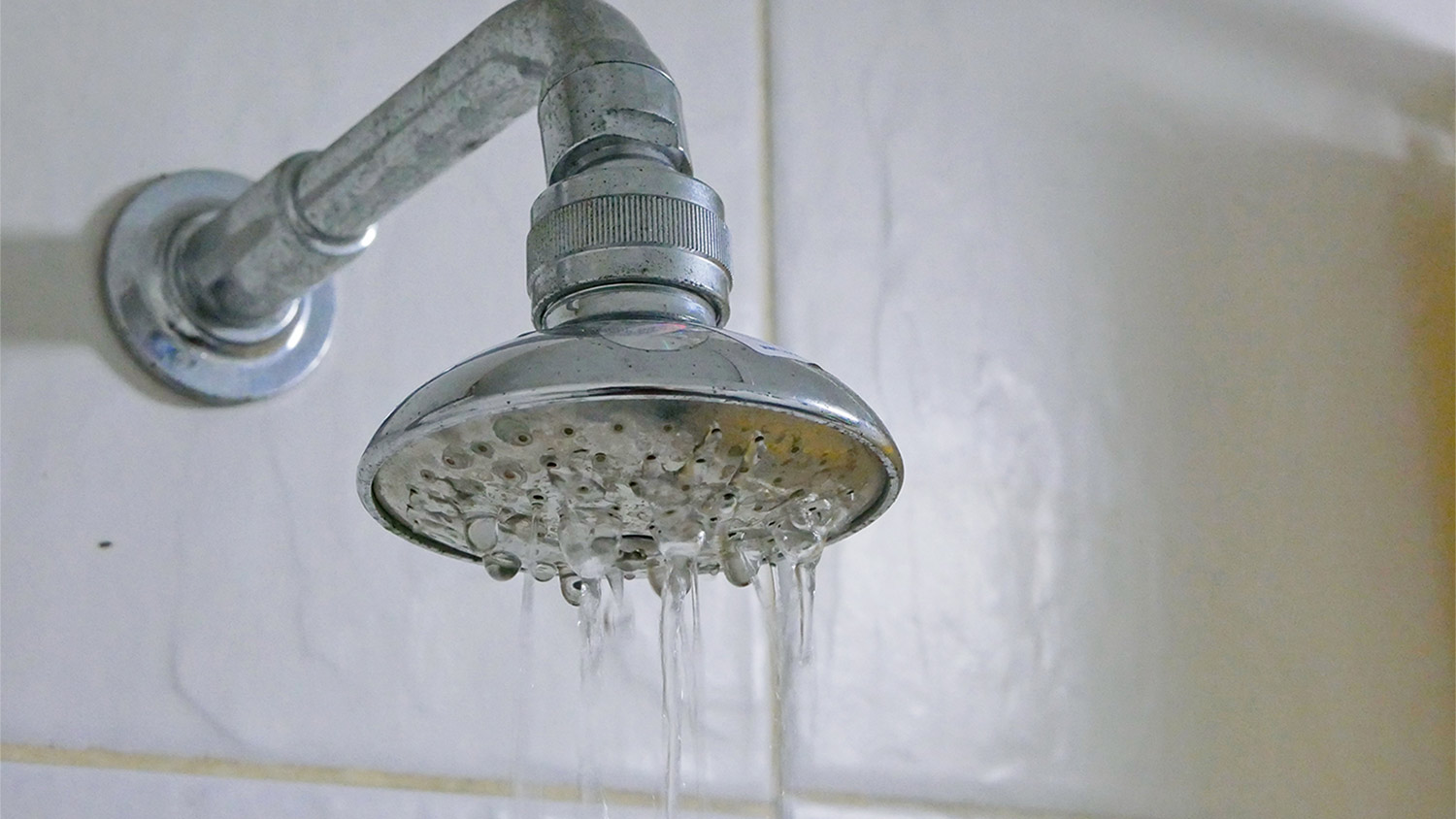 Bathroom showerhead with water dripping out.