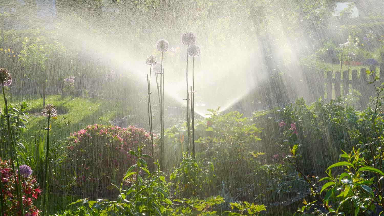 Shrub sprinklers