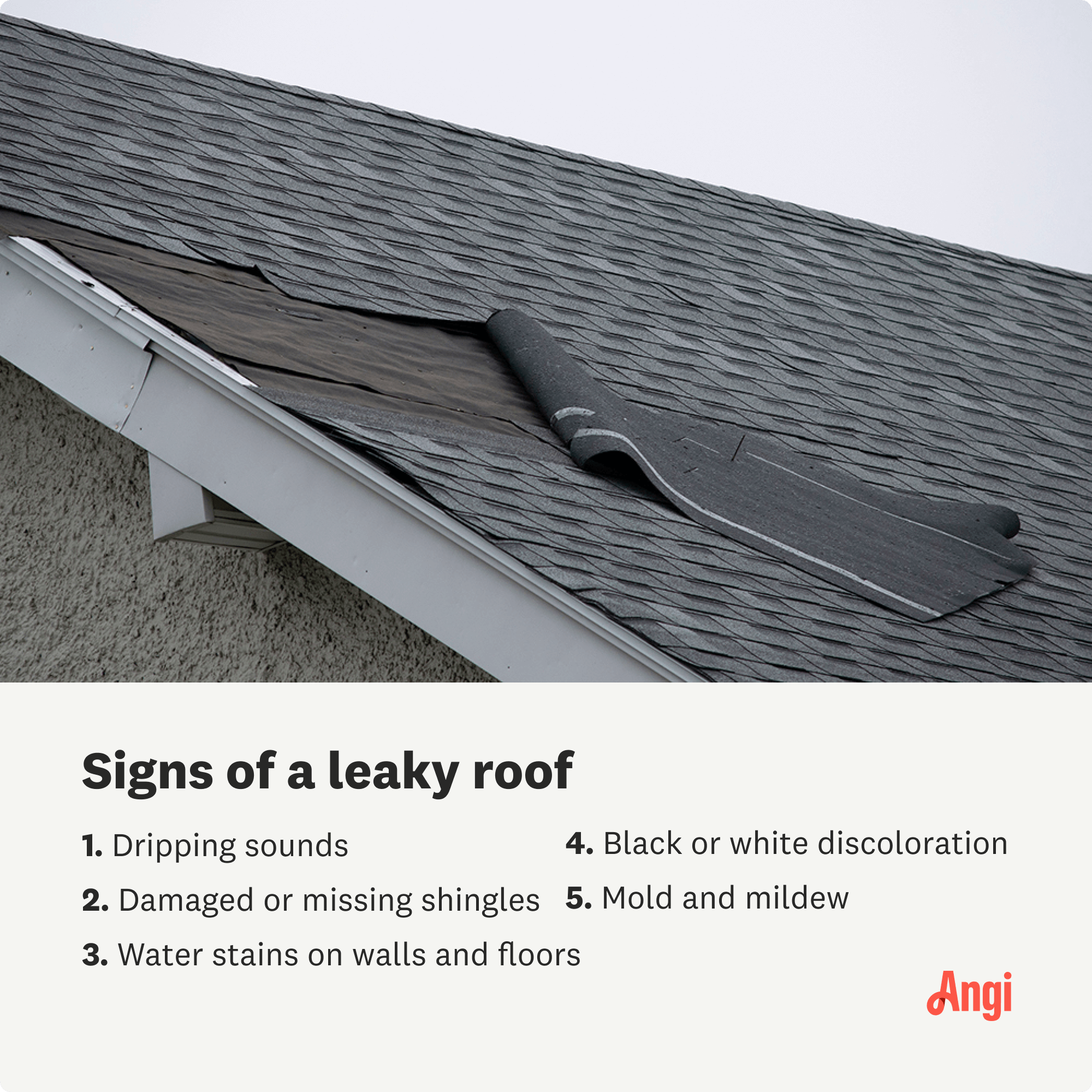 5 signs of a leaky roof, including damaged or missing shingles and mold or mildew