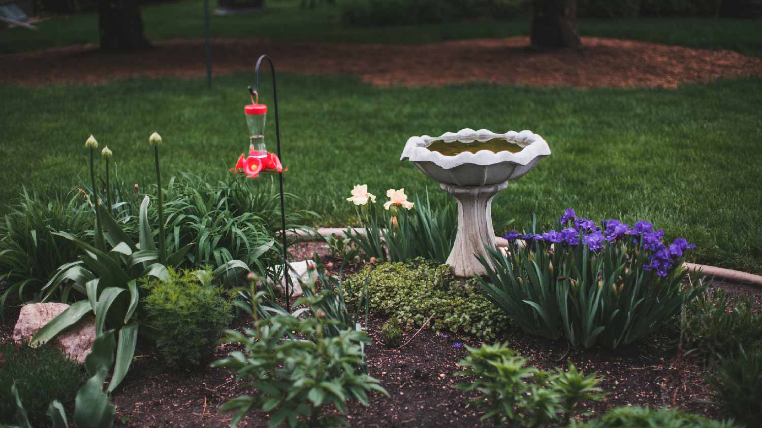 A small backyard garden with a bird bath