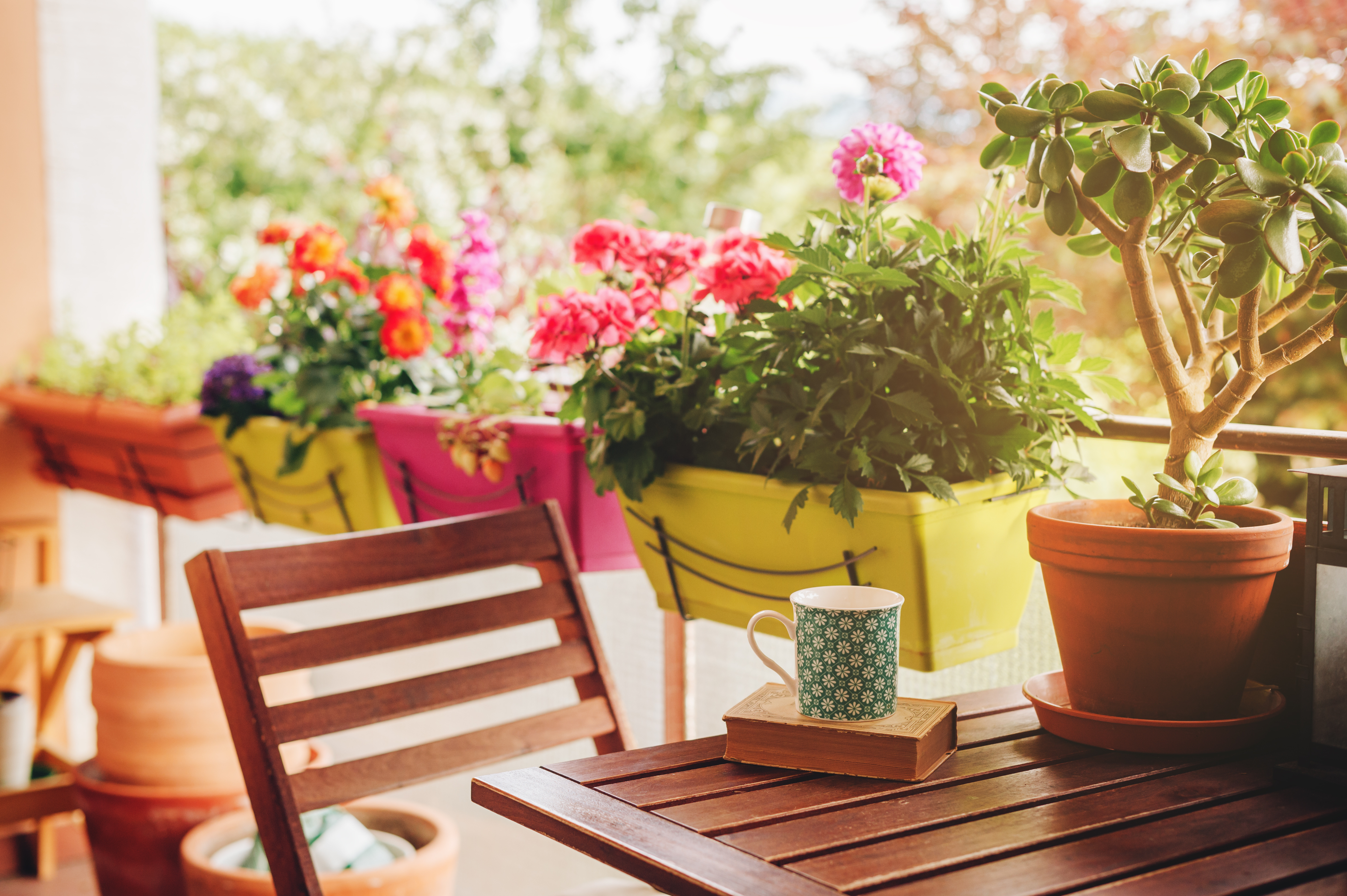 Colorful flower boxes hung from balcony railing