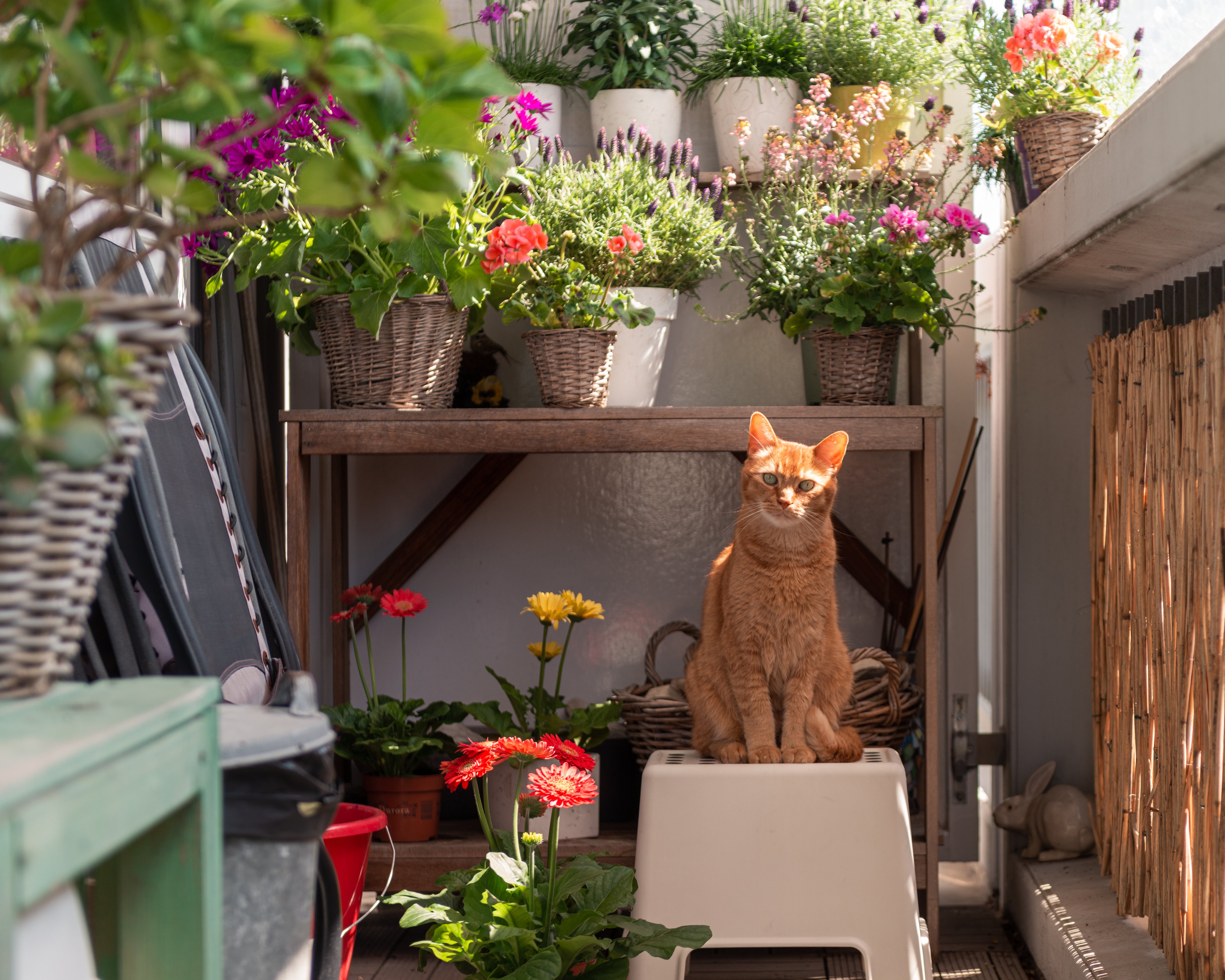 Combination of different flower pots on balcony