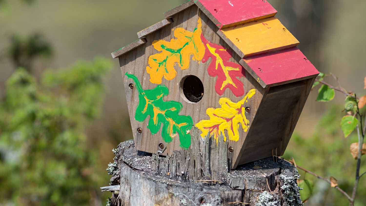 Colorful birdhouse on top of a tree stump 