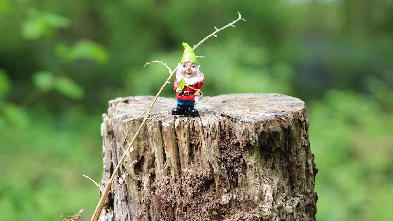 Small garden gnome on top of a tree stump