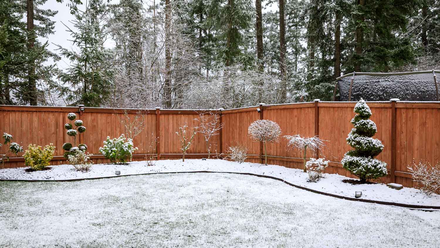 A snow covered backyard with redwood fence surrounding it