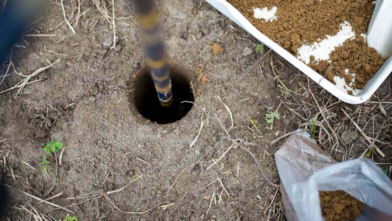 soil sampling yard