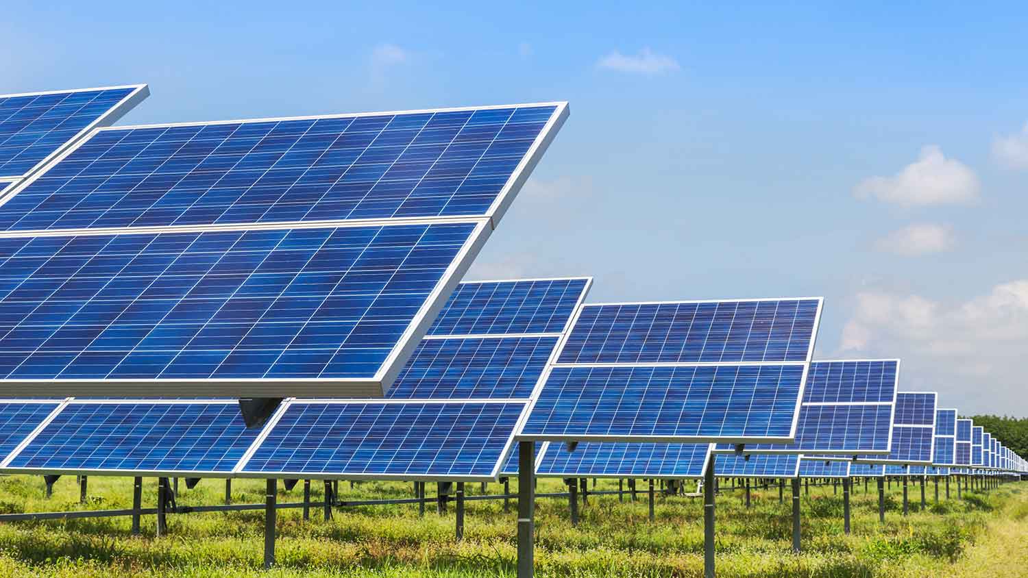 Photovoltaic solar panels in a solar farm