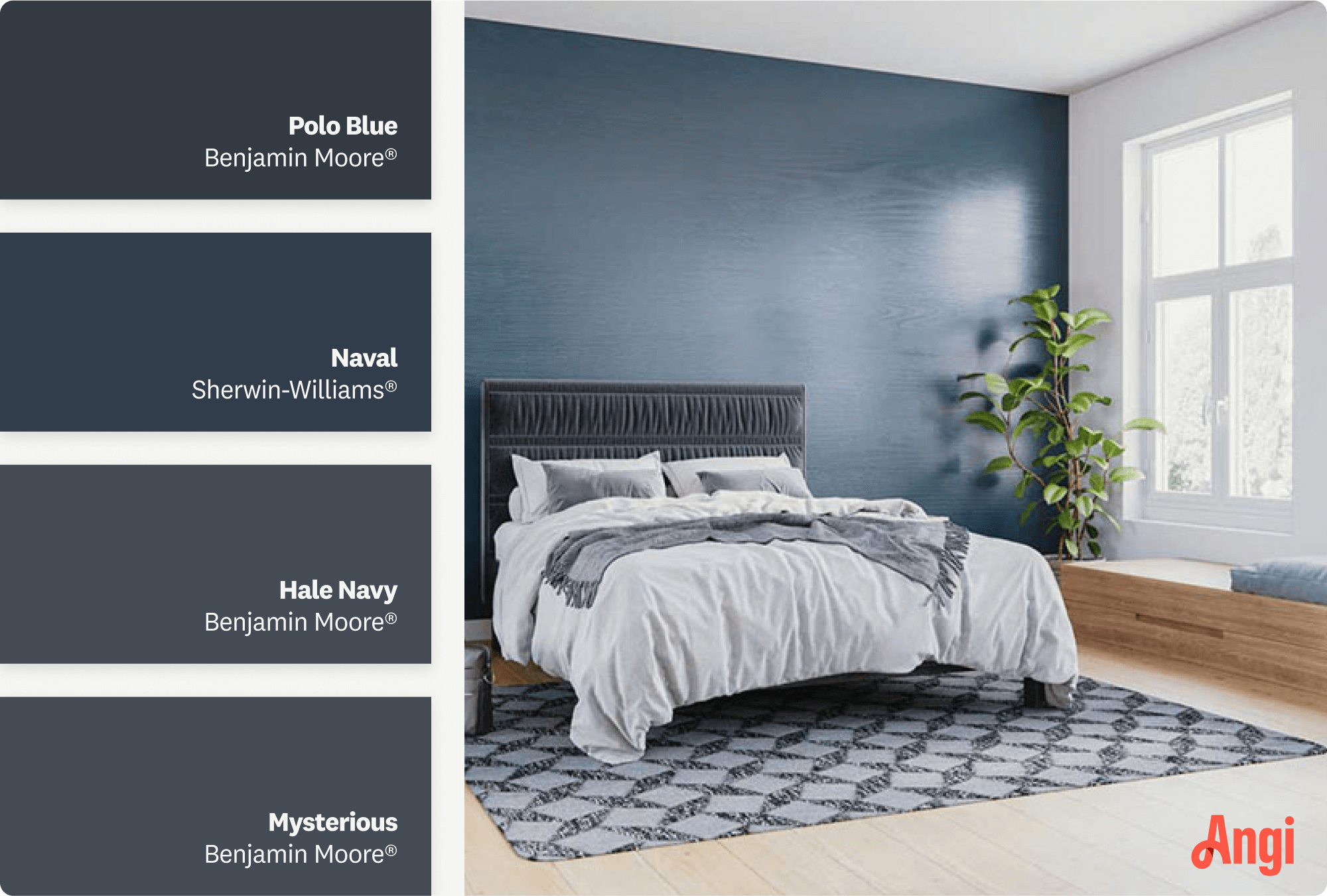 A spacious bedroom with navy blue walls