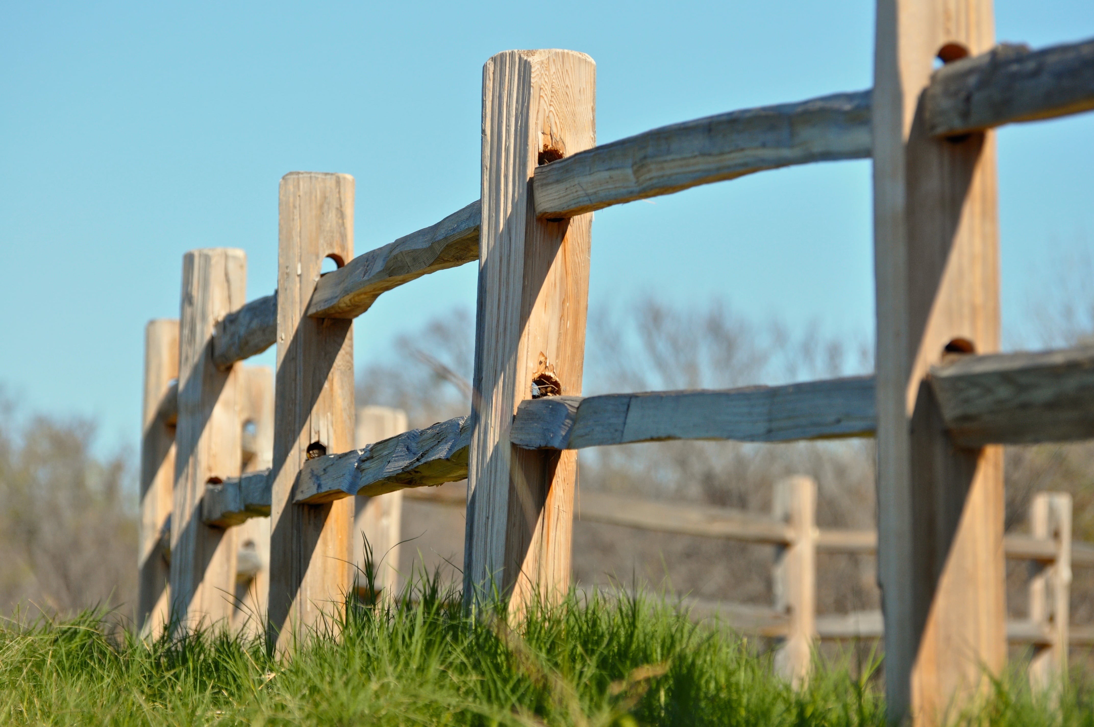 Wooden split-rail fence