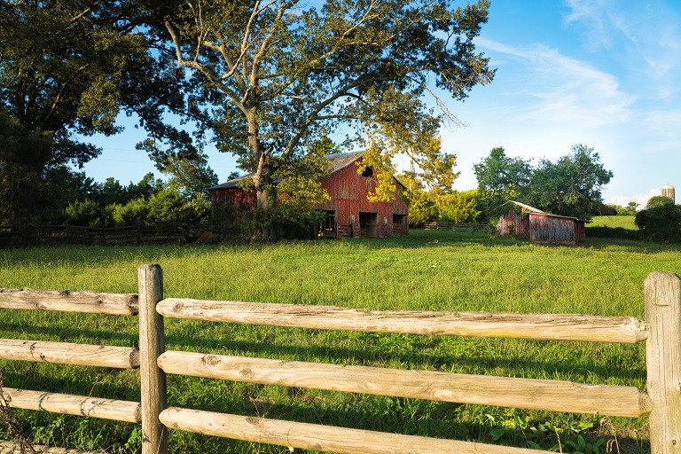 2021 Cost Of A Split Rail Fence Post And Rail Fencing Prices 2021 Cost Of A Split Rail Fence Post And Rail Fencing Prices