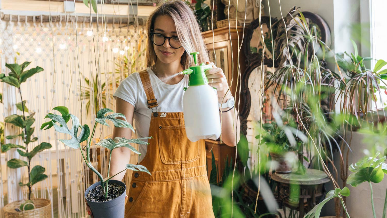 Woman spraying plants