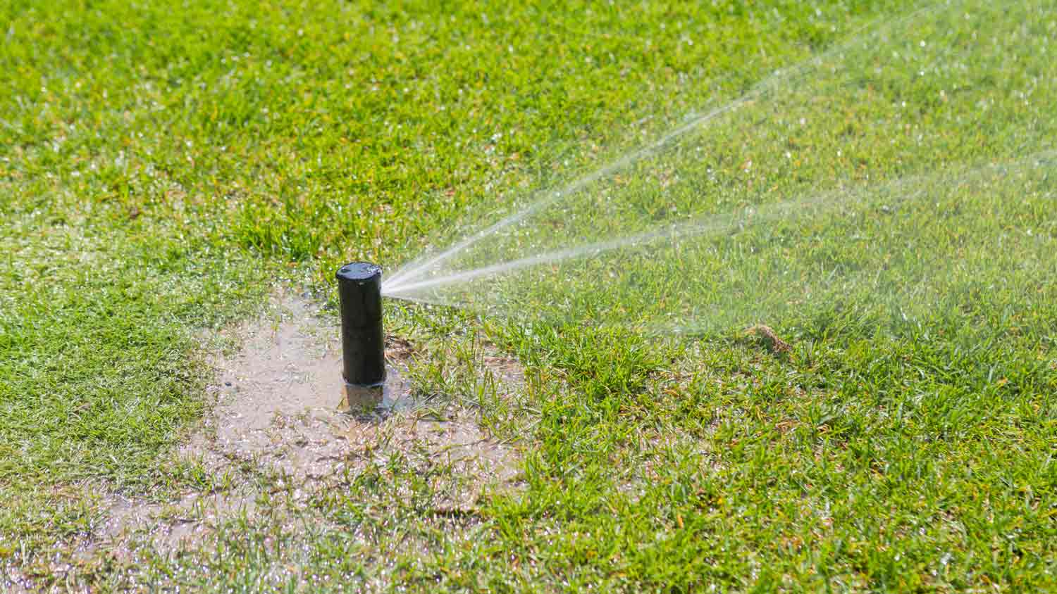 lawn sprinkler causing puddle of water