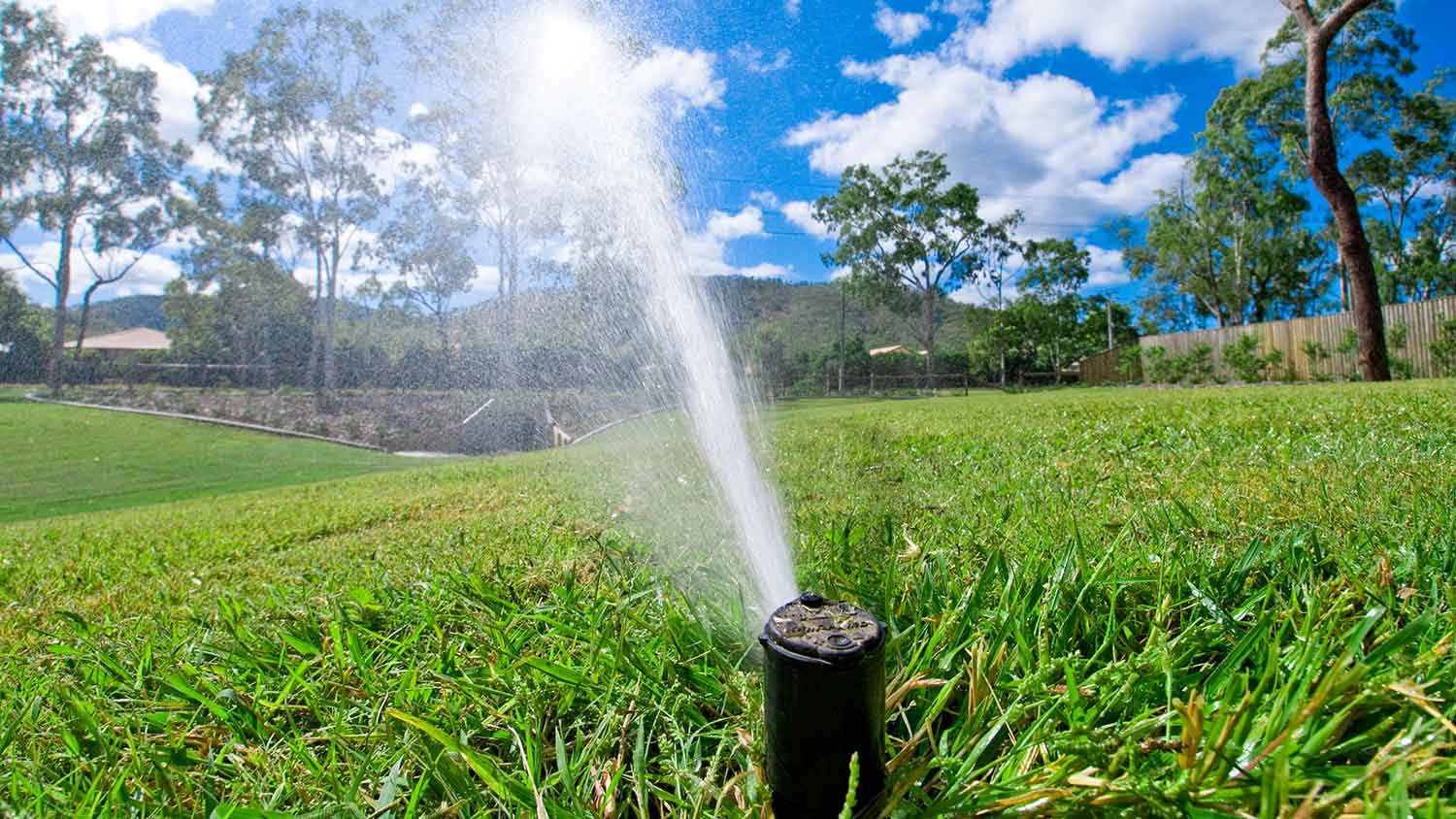 Closeup of an automatic sprinkler system watering the lawn