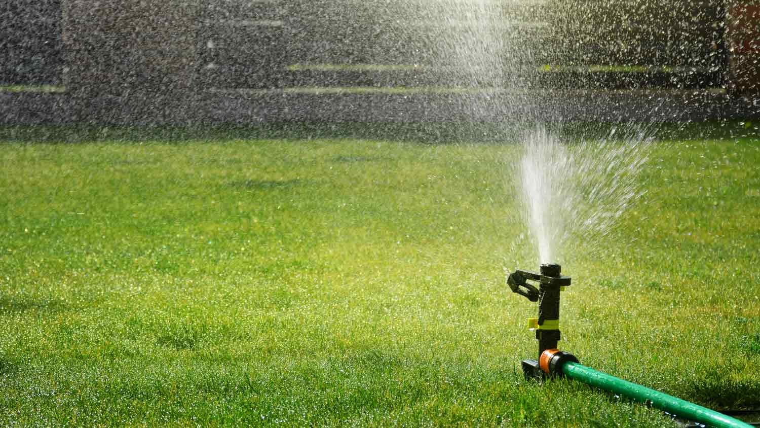 automatic sprinkler system in yard