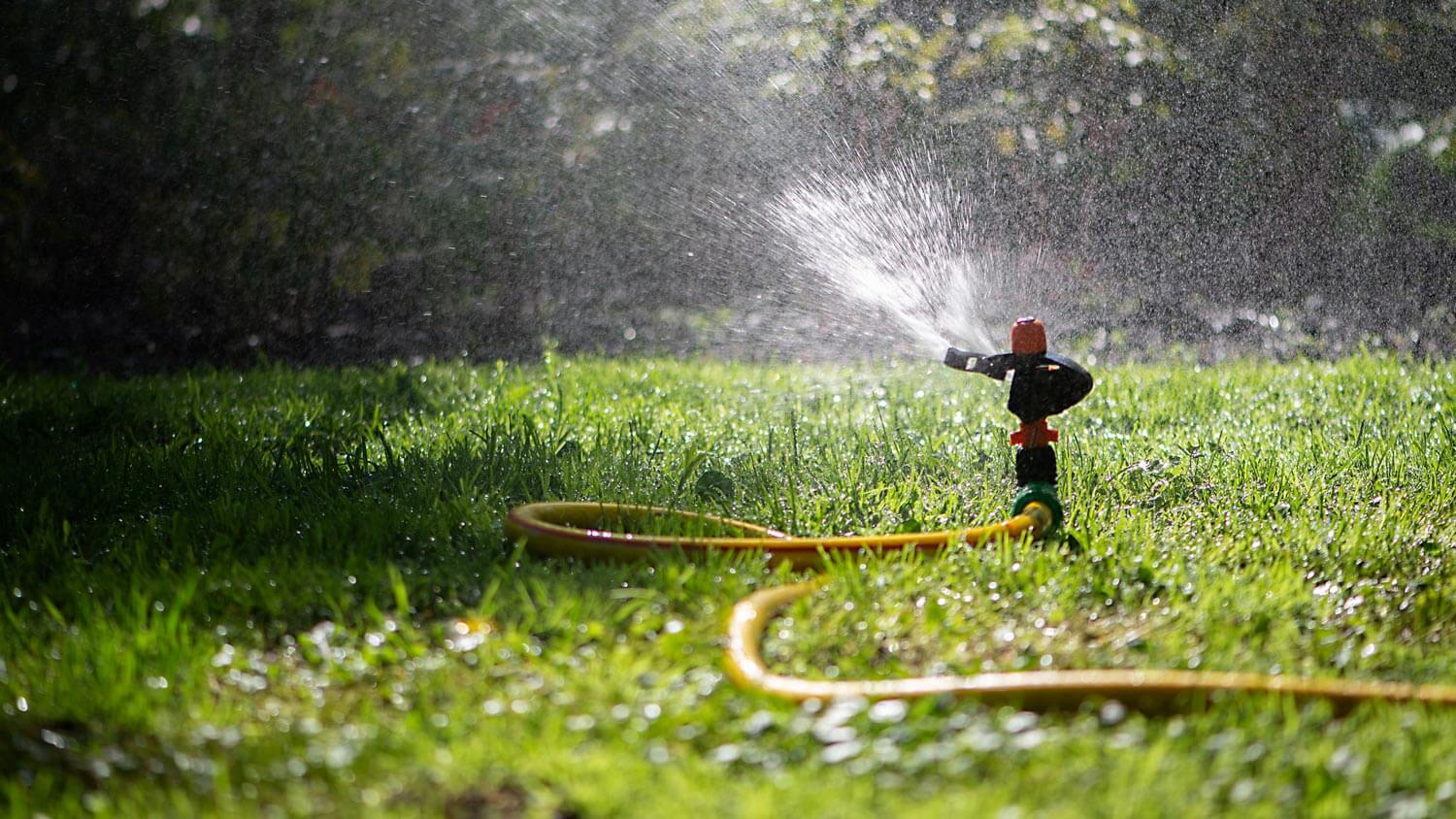 How to Start Up Your Sprinkler System in the Spring