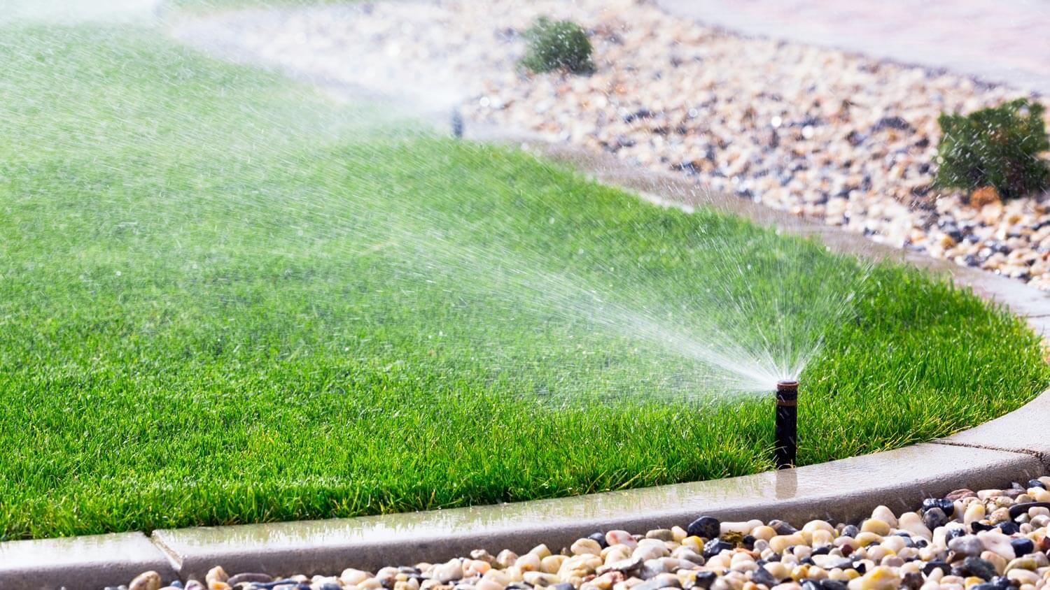 Sprinklers watering a garden’s lawn