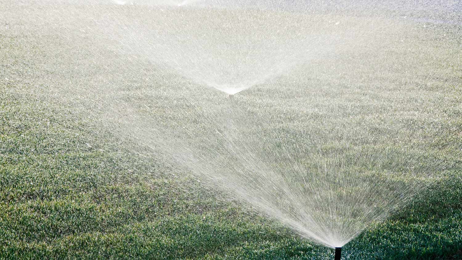 Sprinkler watering grass