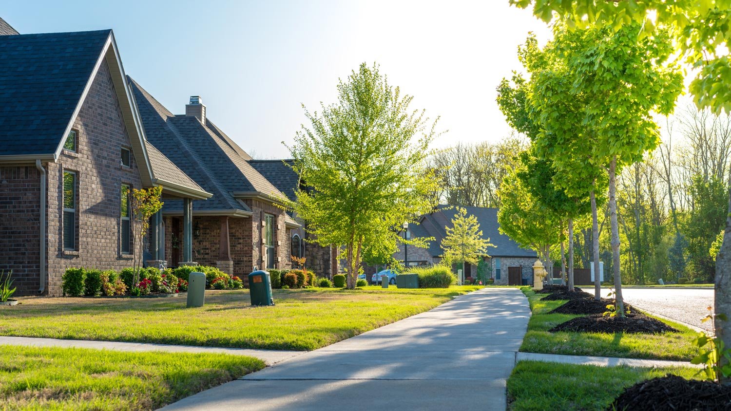 St. Augustine grass in the front yards of residential houses