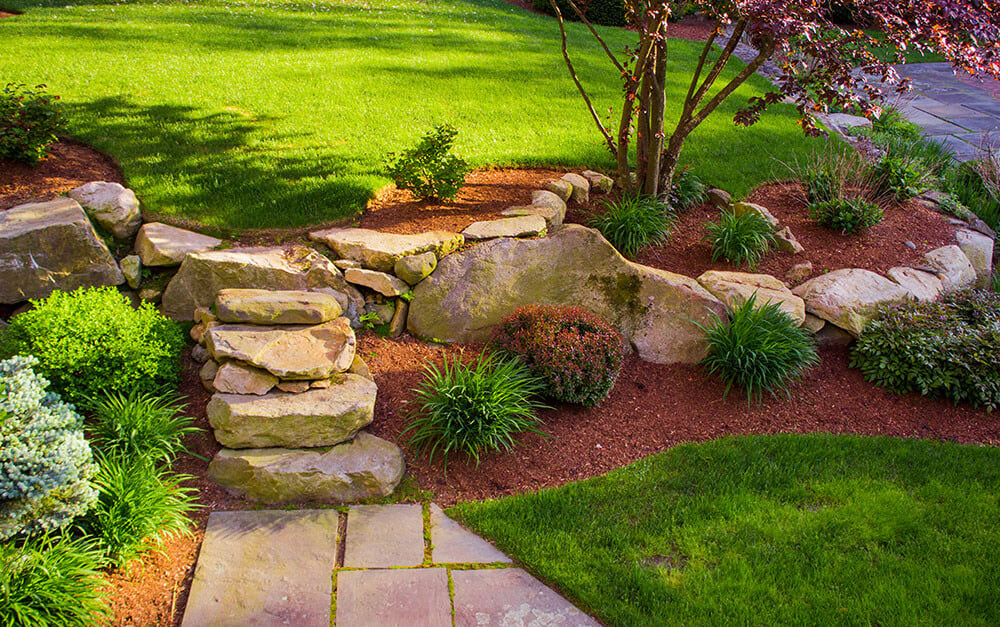 Stone stairs with bushes