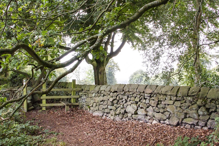 2021 Cost Of Stone Wall Installation Angi Angie S List - Dry Stack Stone Wall Calculator 2021 Cost Of Stone Wall Installation Angi Angie S List - Dry Stack Stone Wall Calculator