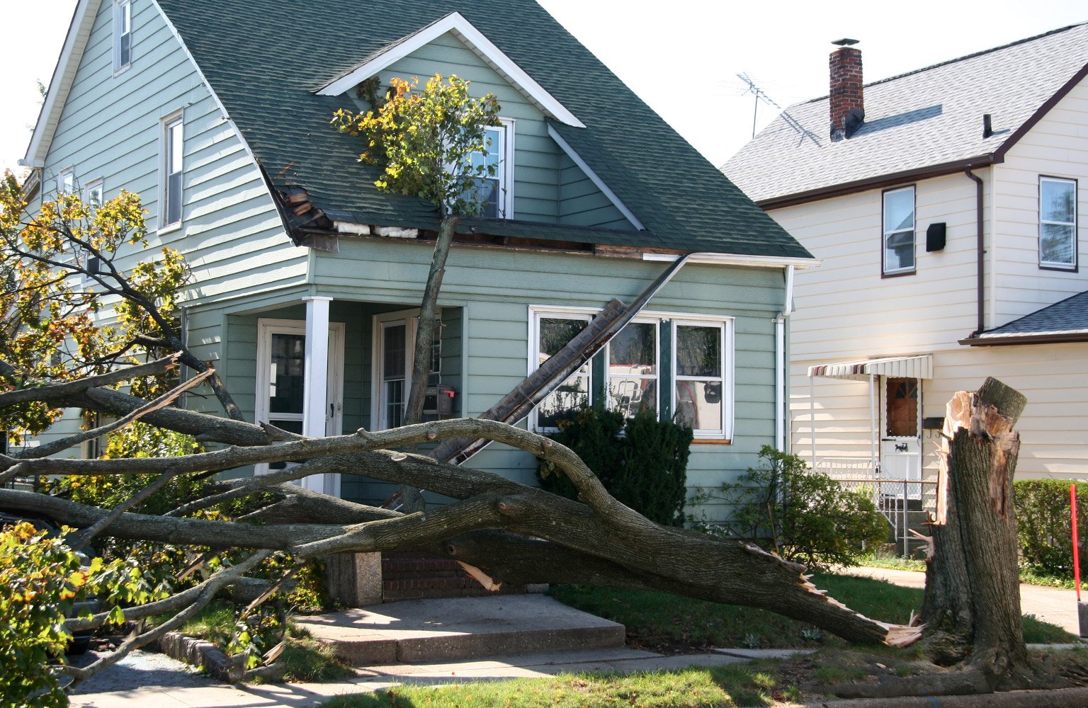 tree falls down on house in front yard