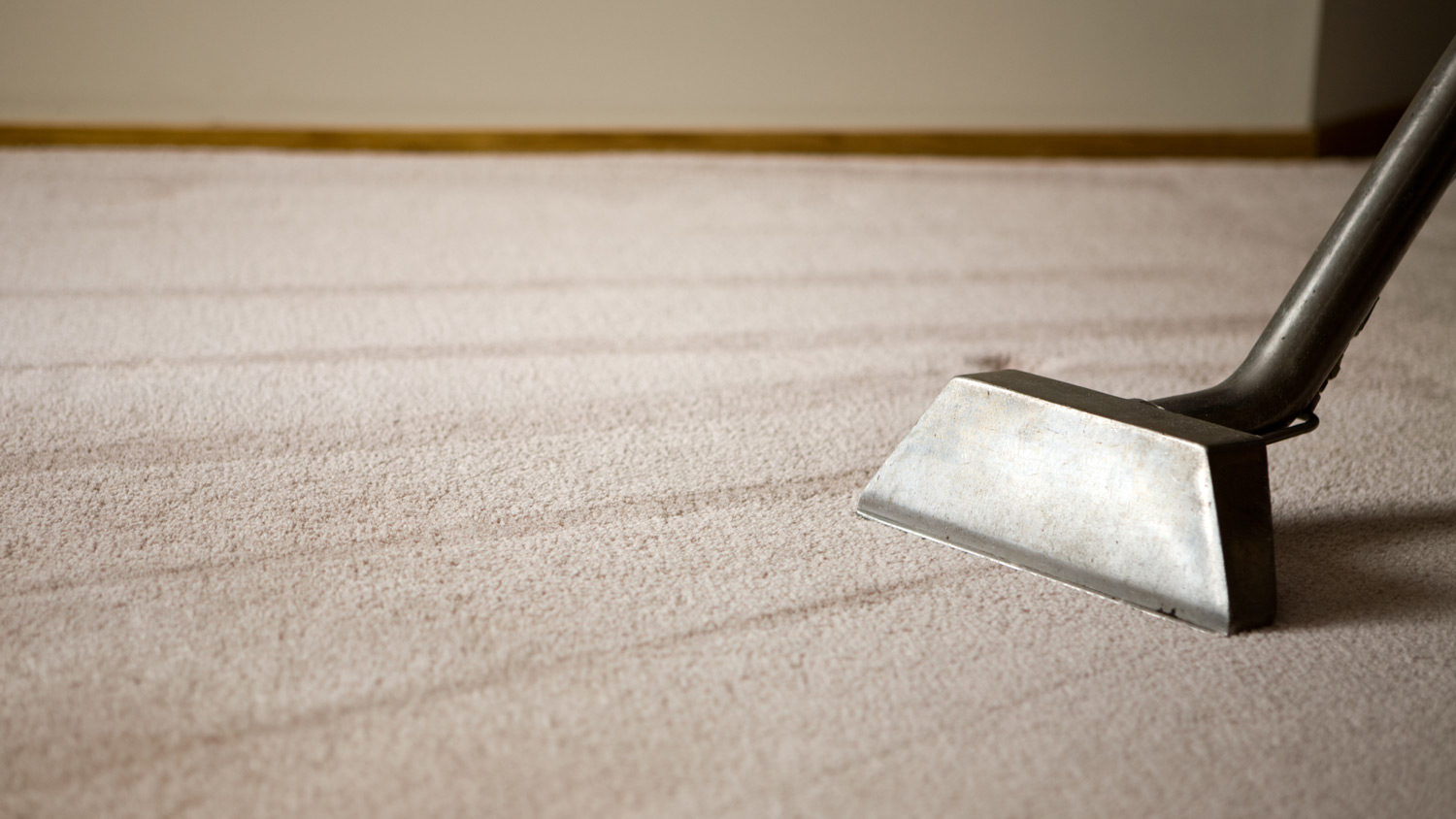 Shag Rug with Carpet Cleaning Equipment