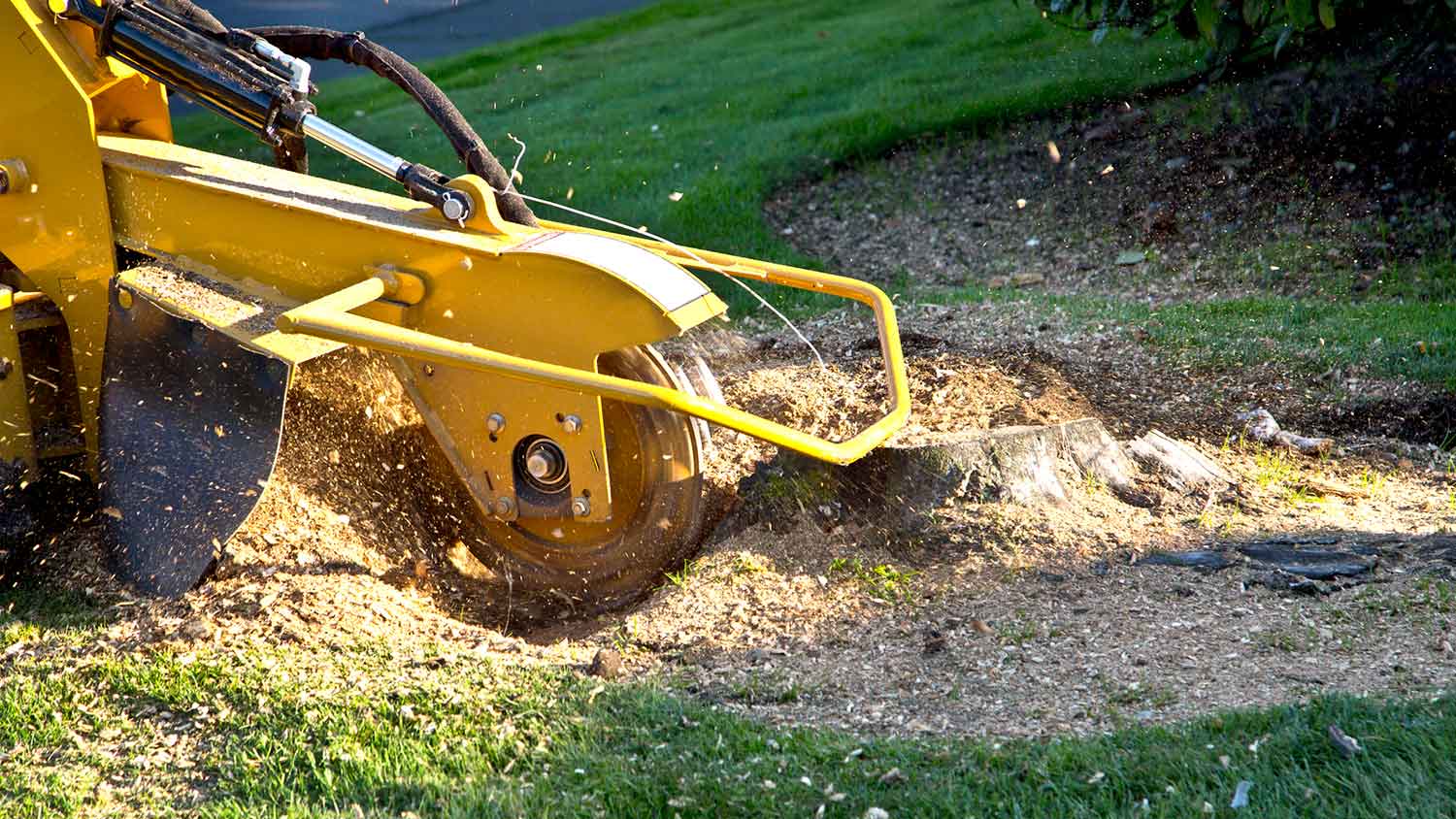 Closeup of grinder machine removing tree stump