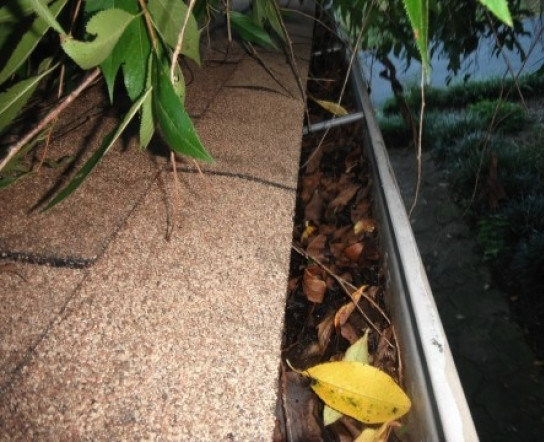 leaf-filled gutter on house leaf-filled gutter on house