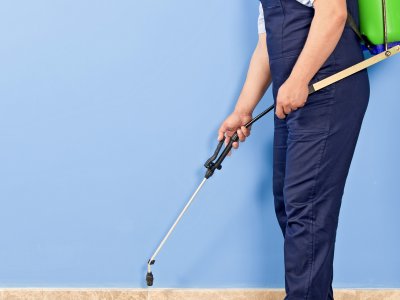 Top 10 Best Pest Exterminators In The Woodlands Tx Angi