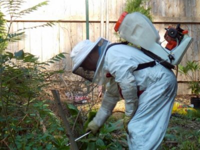 Top 9 Best Pest Exterminators in Fort Wayne IN | Angi